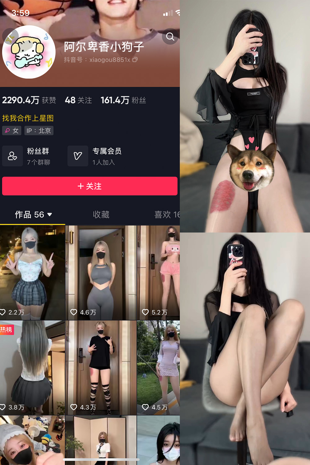 【在线看】抖音 阿尔卑香小狗子 微密圈 NO.026期 【8P1V】 - XZWang-写真网-XZWang-写真网