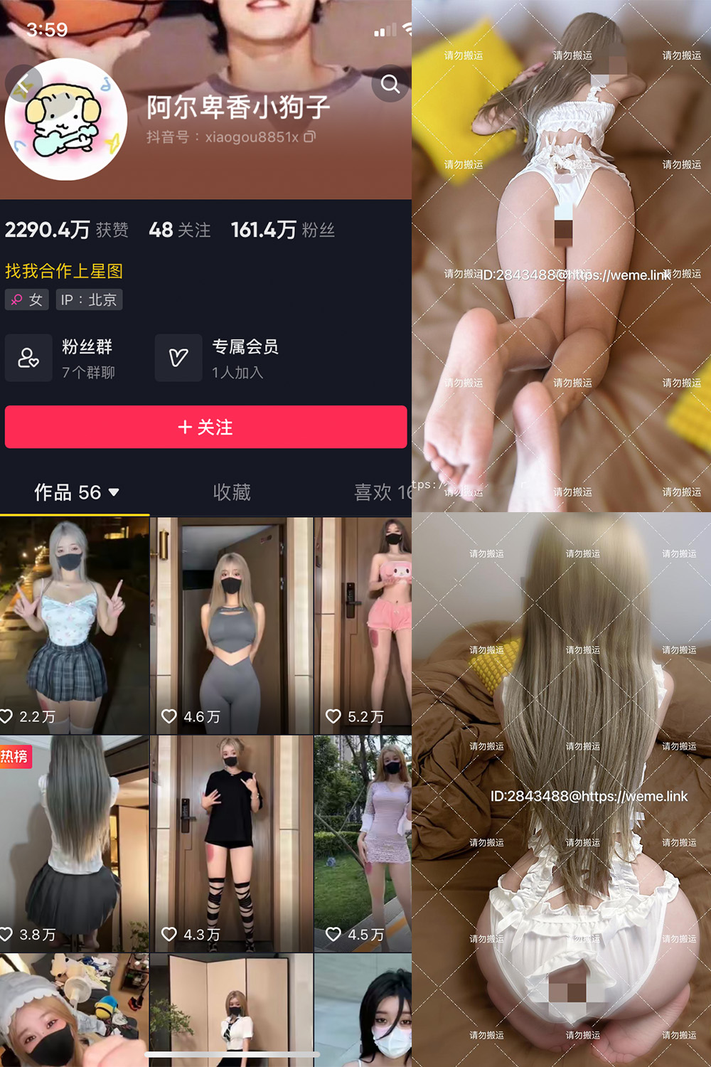 【在线看】抖音 阿尔卑香小狗子 微密圈 NO.018期 【16P1V】 - XZWang-写真网-XZWang-写真网