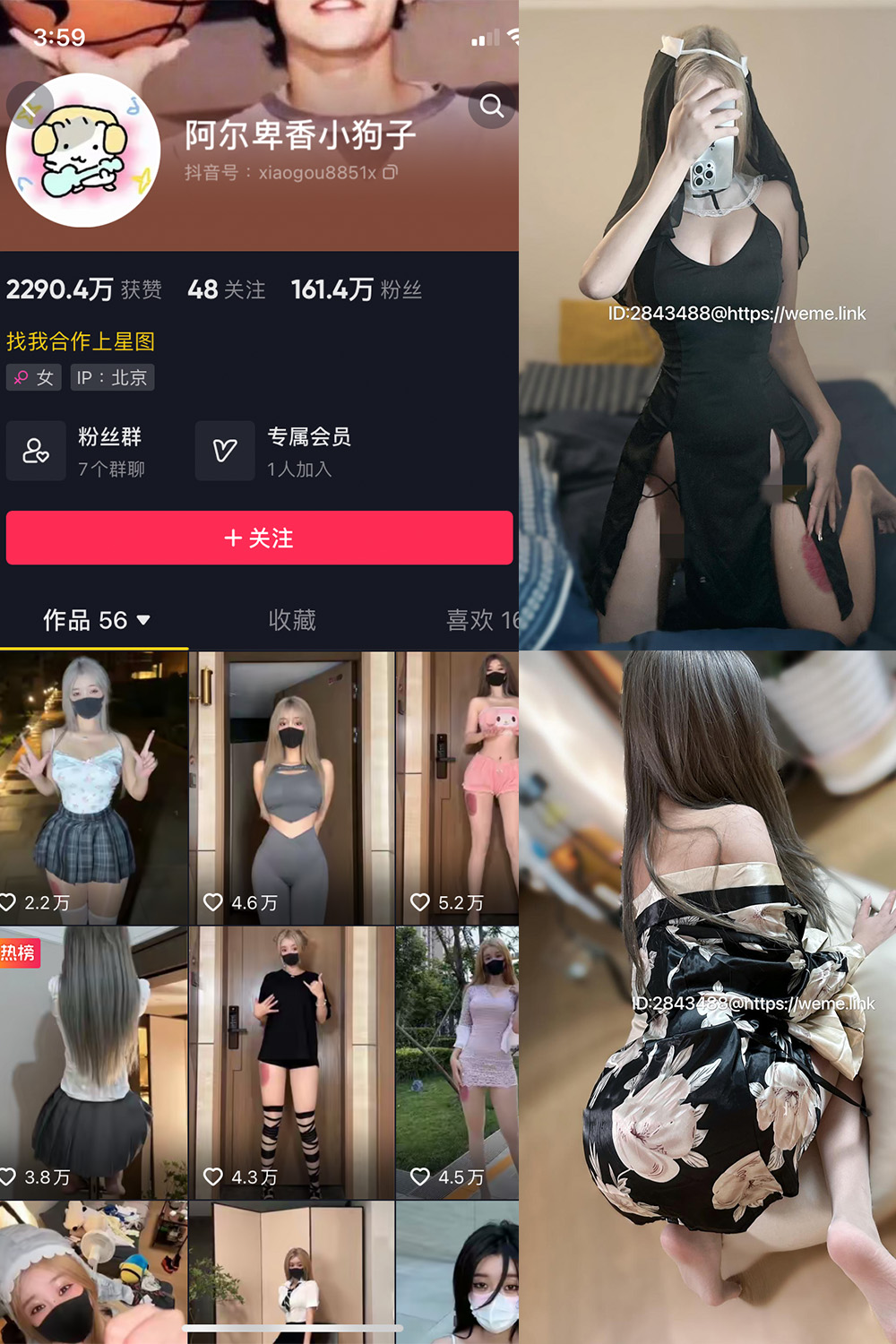【在线看】抖音 阿尔卑香小狗子 微密圈 NO.014期 【54P2V】 - XZWang-写真网-XZWang-写真网