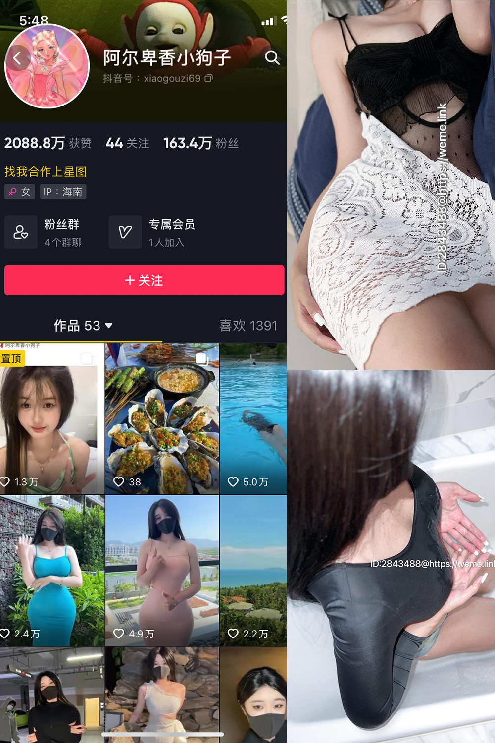 【在线看】抖音 阿尔卑香小狗子 微密圈 NO.011期 【36P1V】 - XZWang-写真网-XZWang-写真网