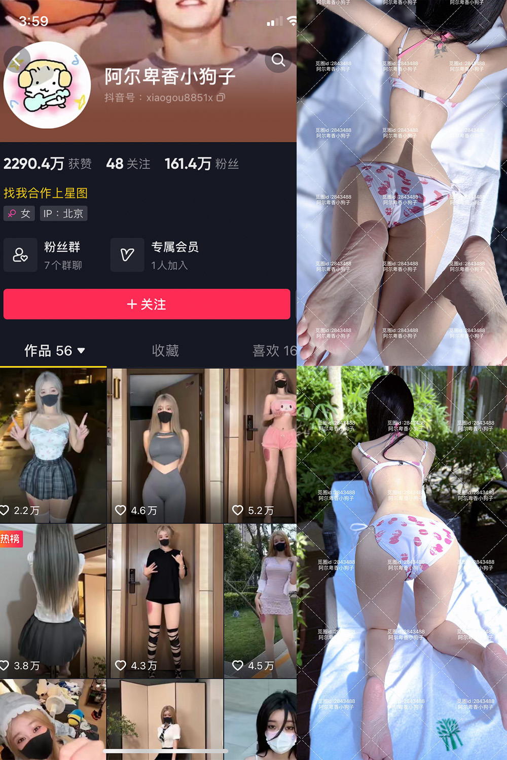 【在线看】抖音 阿尔卑香小狗子 微密圈 NO.060期 【17P】 - XZWang-写真网-XZWang-写真网