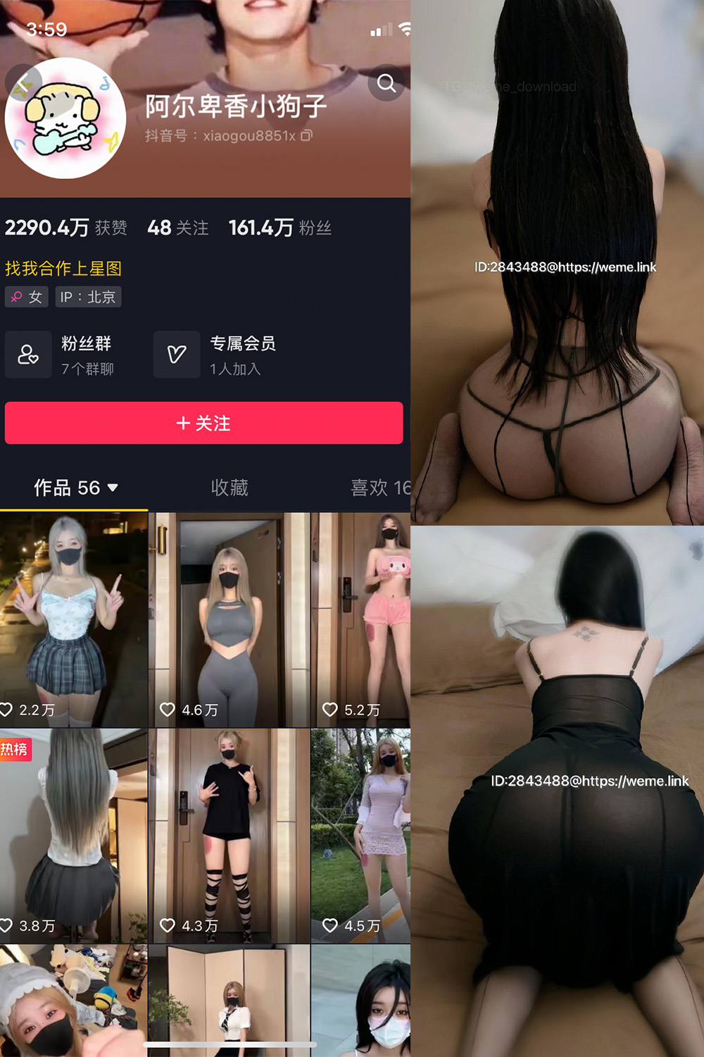 【在线看】抖音 阿尔卑香小狗子 微密圈 NO.057期 【36P1V】 - XZWang-写真网-XZWang-写真网