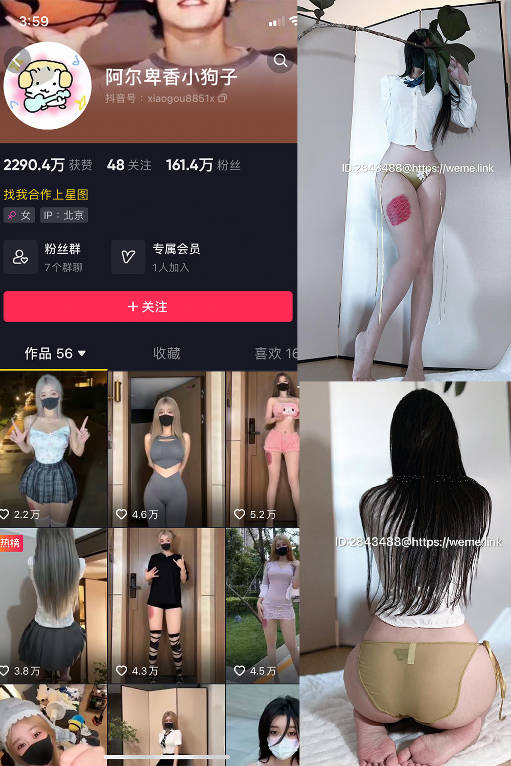 【在线看】抖音 阿尔卑香小狗子 微密圈 NO.047期 【39P】 - XZWang-写真网-XZWang-写真网