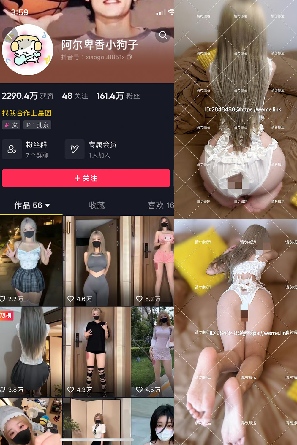 【在线看】抖音 阿尔卑香小狗子 微密圈 NO.054期 【16P1V】 - XZWang-写真网-XZWang-写真网