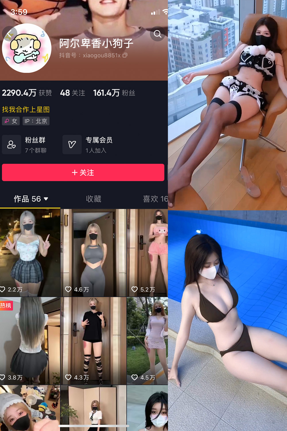 【在线看】抖音 阿尔卑香小狗子 微密圈 NO.062期 【8V】 - XZWang-写真网-XZWang-写真网