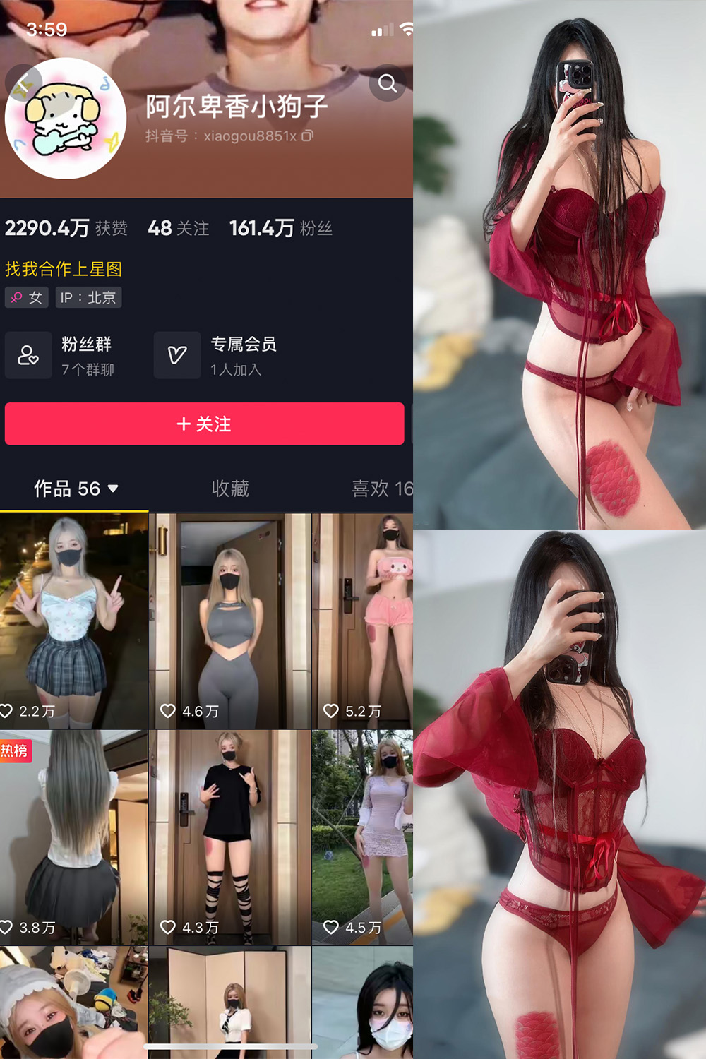 【在线看】抖音 阿尔卑香小狗子 微密圈 NO.056期 【10P2V】 - XZWang-写真网-XZWang-写真网